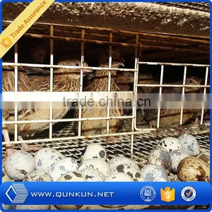 2015 Hot Sale Quail Wire Layer Cages for Sale thumbnail-3