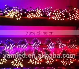 Best Selling 14w LED Pixel Lights Christmas Led Lights Hengda Led Light Ld-4625 thumbnail-2