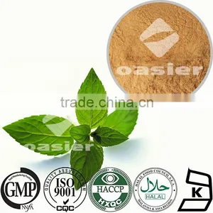 Herbal Extract/Peppermint Leaf Extract/Menthol thumbnail-1