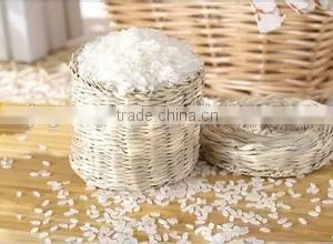 Professional Baking Oven thumbnail-3