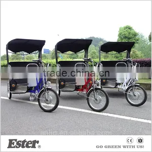 Ester Triciclo Electrico Para Los Viajeros Supplier's Choice thumbnail-1