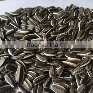 Sunflower Seeds Long Type 5009 Inner Mongolia thumbnail-2