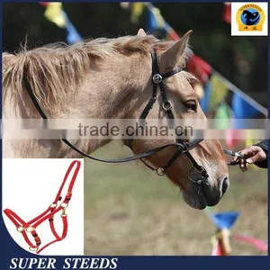 Horse Riding Bridle and Rein thumbnail-1