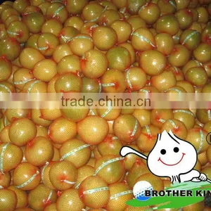 Buy Fresh Fruit Vietnam Grapefruit Pomelo Fruit thumbnail-1