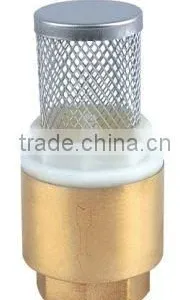 Brass Spring Check Valve With Filter thumbnail-1