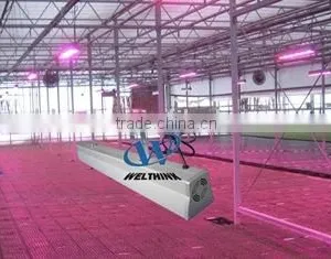 WEX-C150 (LED Greenhouse Lighting/LED Hydroponics Lighting/LED Indoor Gardening Lighting). Full Spectrum thumbnail-1