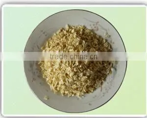 High Quality Dehydrated Onion Powder (8-16 Mesh) thumbnail-1