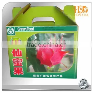 Simple Paper Box Hand-held Green Box for Packing Fruit thumbnail-2