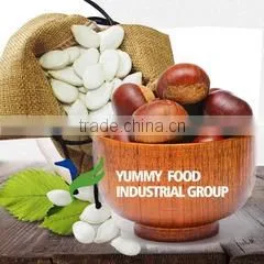Yummy Food Industrial Group company overview - view 2 thumbnail