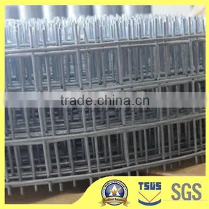 Welded Wire Mesh thumbnail-1