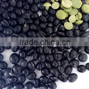 Black Bean Geen Inside thumbnail-1