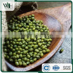 AMA Certified Green Mung Bean thumbnail-4