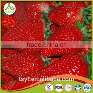 Frozen Strawberries America M13 25-35mm Freezing Strawberry thumbnail-4