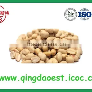 High Quality Blanched Peanut Kernel in Bulk in China thumbnail-5