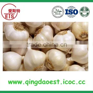 2016 High Quality Fresh White Garlic From China thumbnail-6