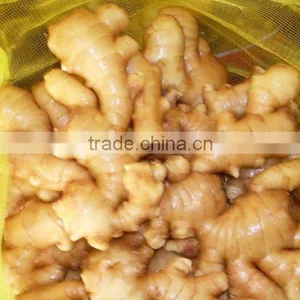 60g New Fresh Ginger thumbnail-1