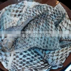 Automatic Cuttlefish Peeling Machine/sleeve-fish Skinning Machine thumbnail-5