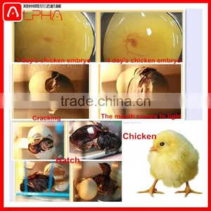 3168 Eggs Incubator Haching Machine Chicken Eggs Incubator thumbnail-6