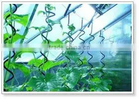 Plant Sprial Support Wire/garden Wire Plant Stands thumbnail-1