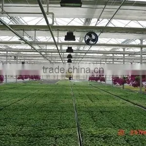 Greenhouses Used for Sale thumbnail-1