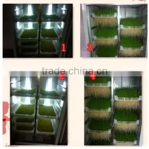 Automatidc Hydroponic Seeds Sprout Fodder Growing Machine thumbnail-5