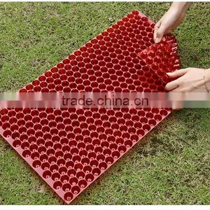434cell Hydroponics Rice Breeding Tray, Barley Planting Tray, 55g thumbnail-5