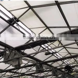 Factory Price Vegetables/Crops/Horticulture Used Poly Carbonate Sheet Greenhouse thumbnail-4