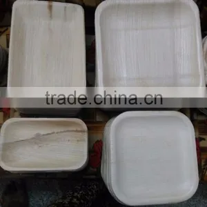 Leaf Plates/Bowls thumbnail-2
