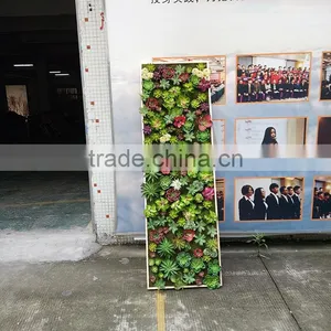 Indoor Decoration Artificial Mini Succulent Plants Wall thumbnail-1