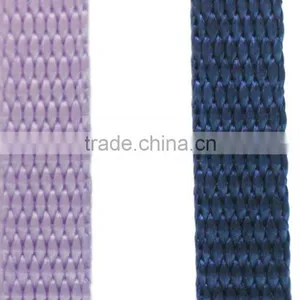 Printing Available Nylon Webbing, 3/8 Inch Multi Dyed Color NYLON Webbing, Fashion Assessory Webbing, High Quality Webbing thumbnail-4
