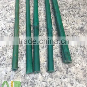 Green Bamboo Dried,round Flower Sticks for Sale thumbnail-5