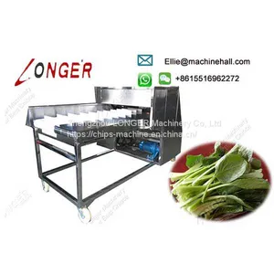 Vegetable Root Cutting Machine thumbnail-3
