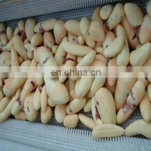Automatic Vegetable Fruit Brush Cleaning Peeling Machine thumbnail-4