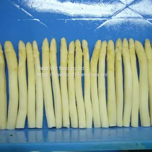 Frozen White Asparagus Spears and Cuts thumbnail-2