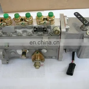 Fuel Injection Pump 4988395/10401016073/Z3900300/10401016073 thumbnail-1