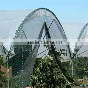 Greenhouse Structure Pole Ancher Stake in Horn Shape thumbnail-2