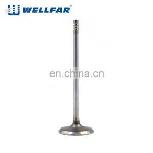 Wellfar OEM Manufacturer Engine Components For FIAT Idea 1.3 Intake and Exhaust Valve thumbnail-2