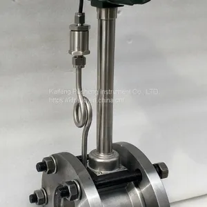 DN20 Gas Flowmeter Vortex Flowmeter Metering Accuracy thumbnail-1