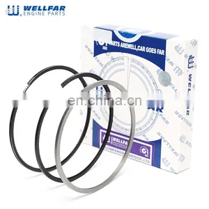 Wellfar Machinery Engine Parts DT466E DT530E Engine Piston Ring 1830723C92 1830724C92 thumbnail-1
