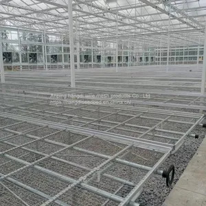 Greenhouse Flower Cultivation Vegetable Seedling Rice Seedling Seedling Bed Production Factory thumbnail-4