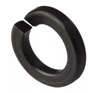 Factory Direct DIN127 Lock Washers M5 M6 M8 M10 M12 Sizes thumbnail-4