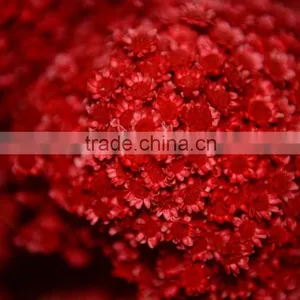 Star Flower Bouquet thumbnail-1