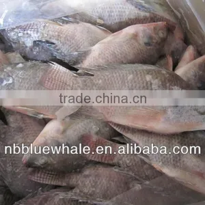 Black Tilapia Fresh Frozen High Quality thumbnail-1