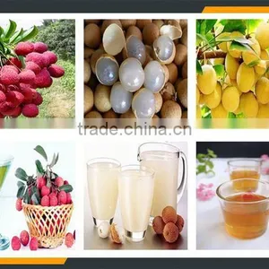 Leader High Quality Full Automatic Lychee Peeling Machine Supplier's Choice thumbnail-6