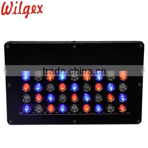 Outdoor Waterproof LED Landscape Lights thumbnail-3