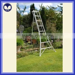 3 Meters Aluminum Garden Trim Ladder thumbnail-2
