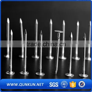 Q195 Lead Roofing Iron Concret Nails thumbnail-1