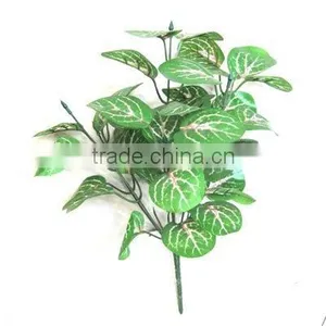 Plastic Plant thumbnail-1