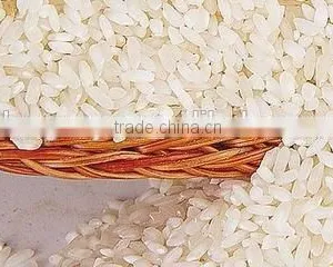 High Quality Instant Rice/nutritional Rice Production Line thumbnail-1