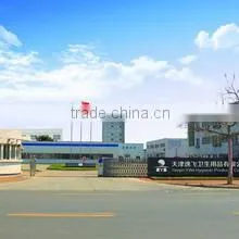 Tianjin Yifei Hygienic Products Co., Ltd. company overview - view 1 thumbnail